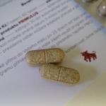 Primulus recenze