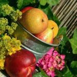 fruits-850491_640