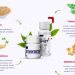 proerecta