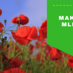 Makové mléko – účinky a pro koho je vhodné