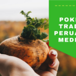7 potravin, které vám zvětší prsa (18)