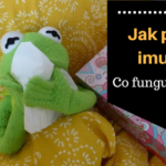 Jak posílit imunitu – co funguje, jaké jsou nejlepší přípravky